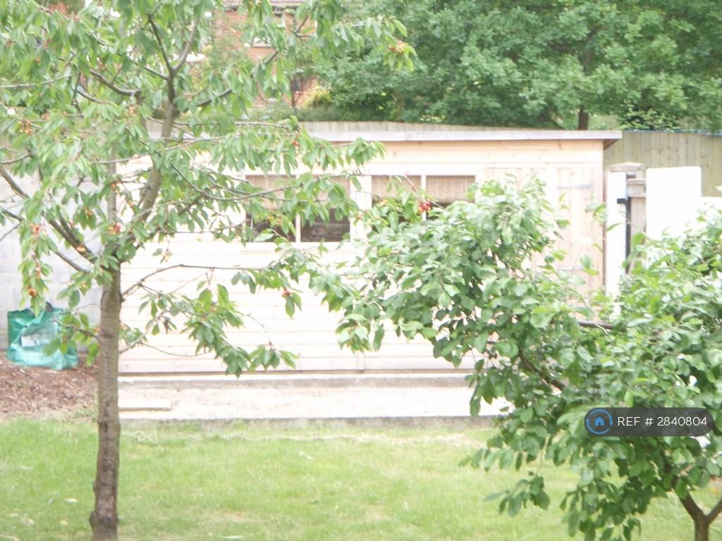 Garden With a Plum And Cherry Tree