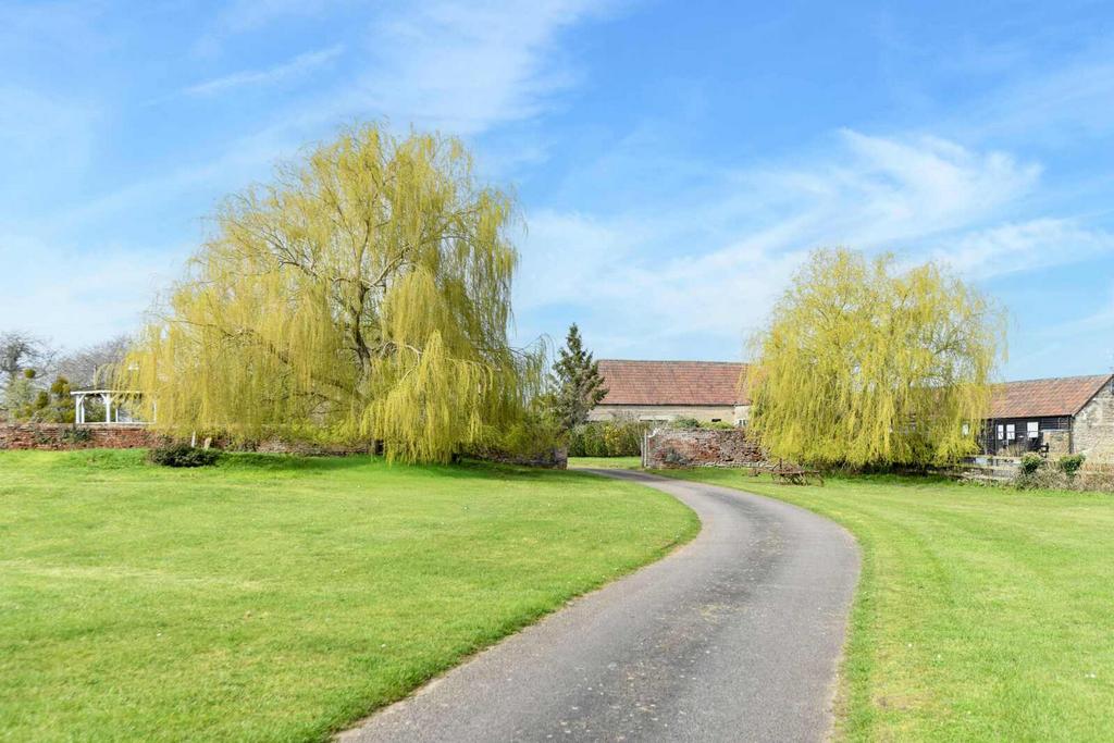 Driveway View