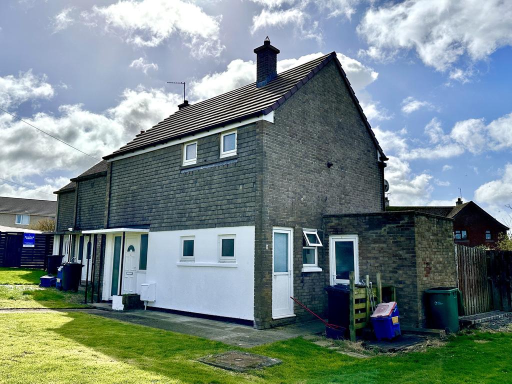 Img 3129