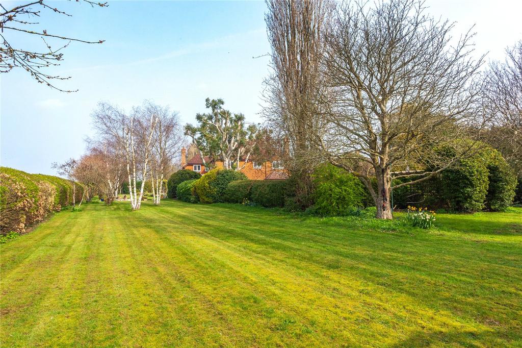 Lawn