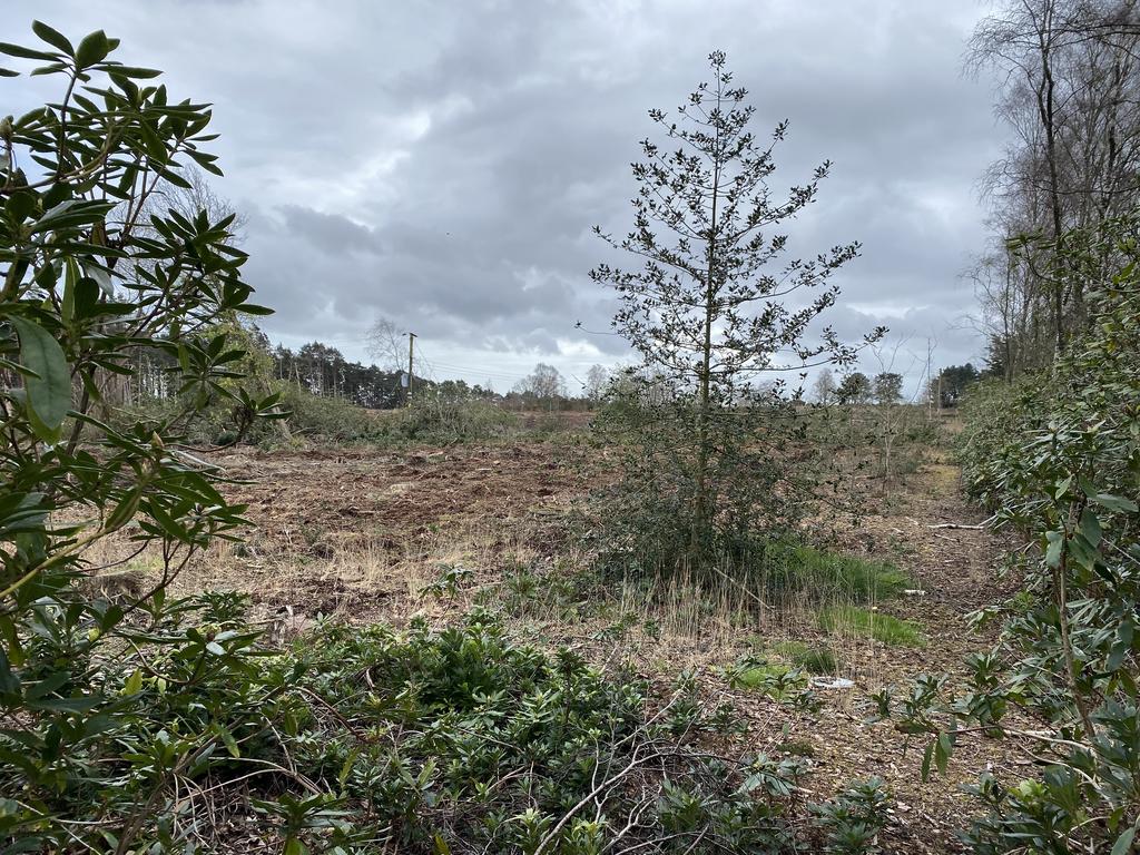 Heathland Walks