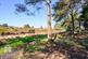 Additional image 10 of Twin Oaks | Bushmead Drive | Ashley Heath | BH24