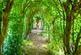 Additional image 45 of Hagley, Stourbridge, Worcestershire, DY8