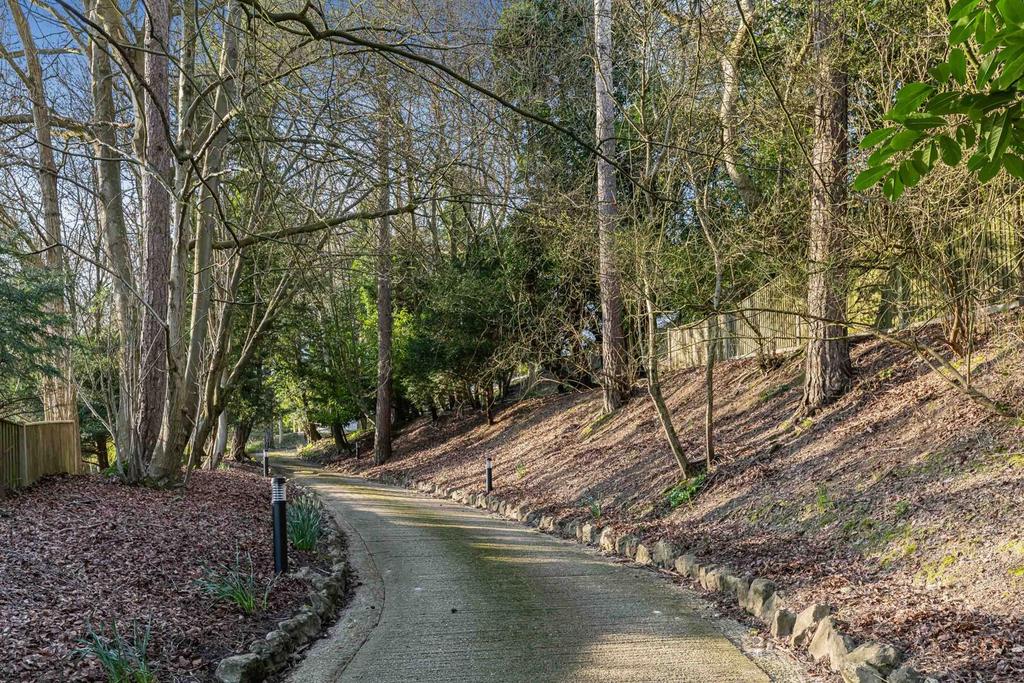 Driveway