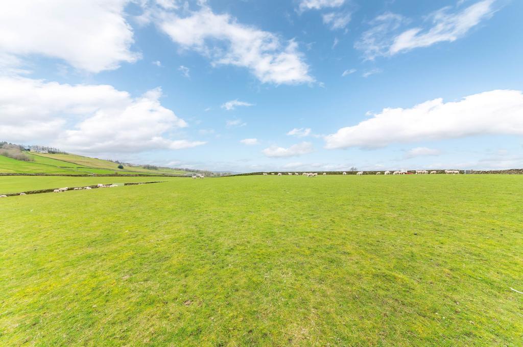 Field