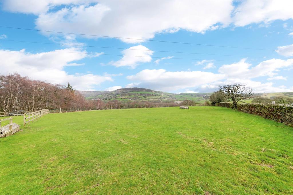 Field