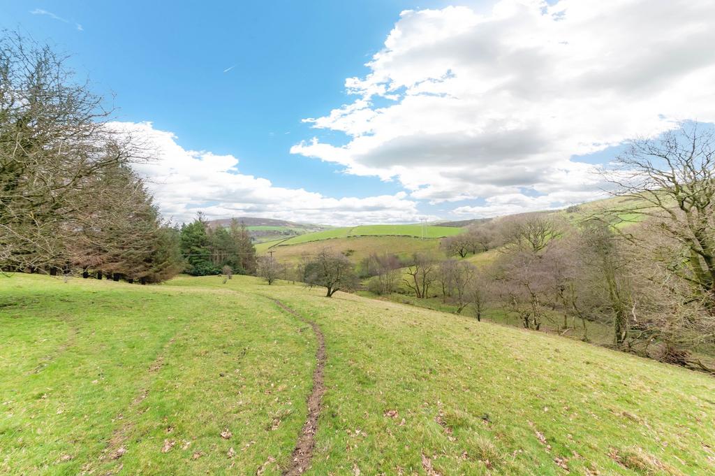 Field