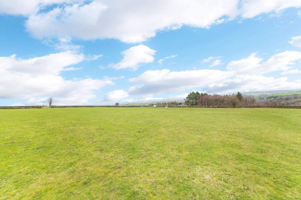Field