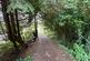 Additional image 7 of Land to the rear of Woodland Road, Tylorstown, Ferndale, CF43 3ND