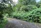 Additional image 8 of Land to the rear of Woodland Road, Tylorstown, Ferndale, CF43 3ND