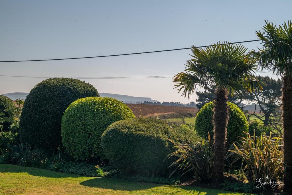 Views from Front Garden