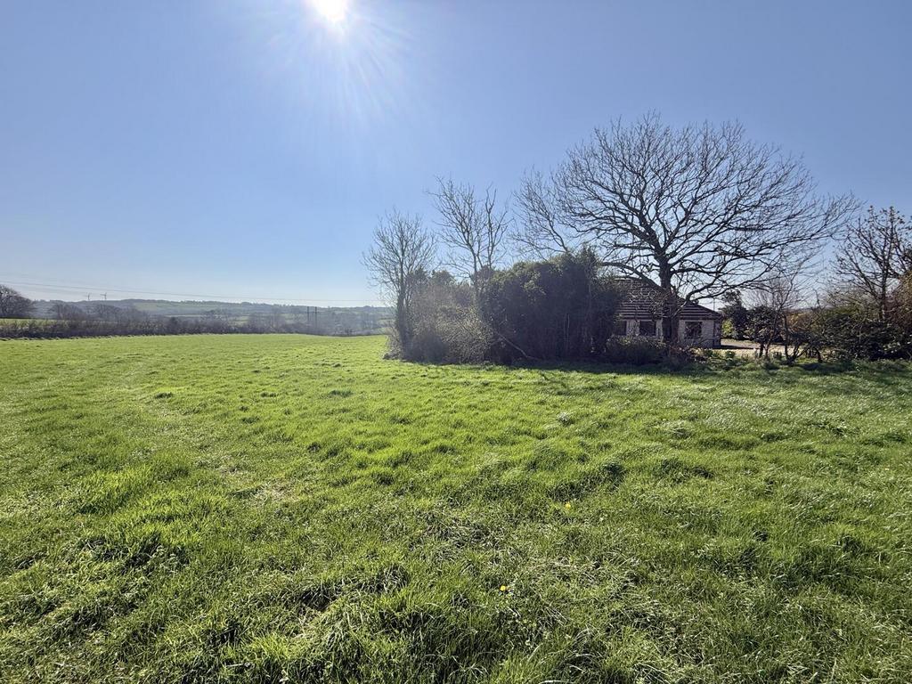 Field