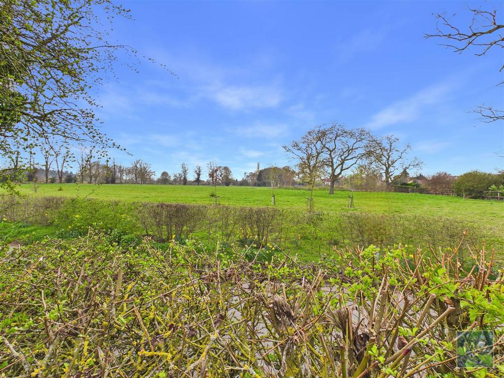 Views Opposite Property