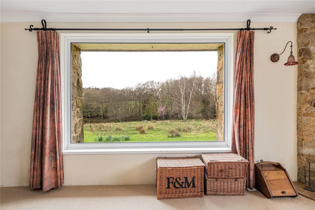 Window & View