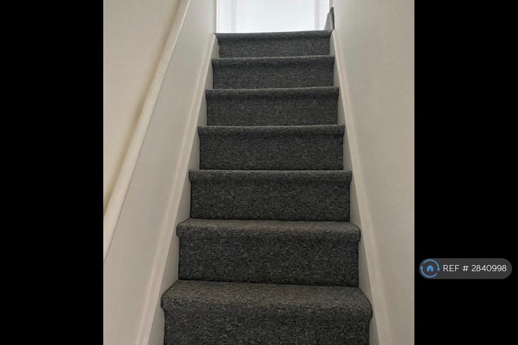 New Carpet