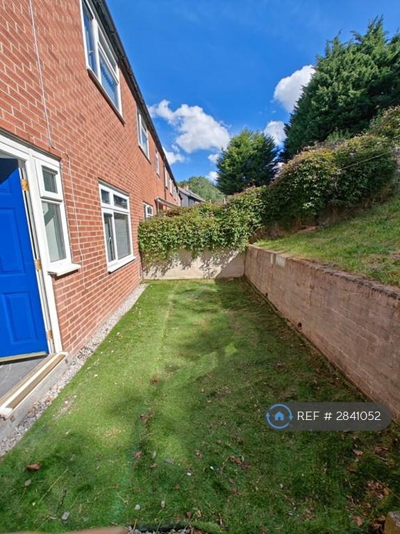 Garden - Rear
