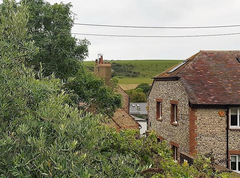 View from cottage.jpg