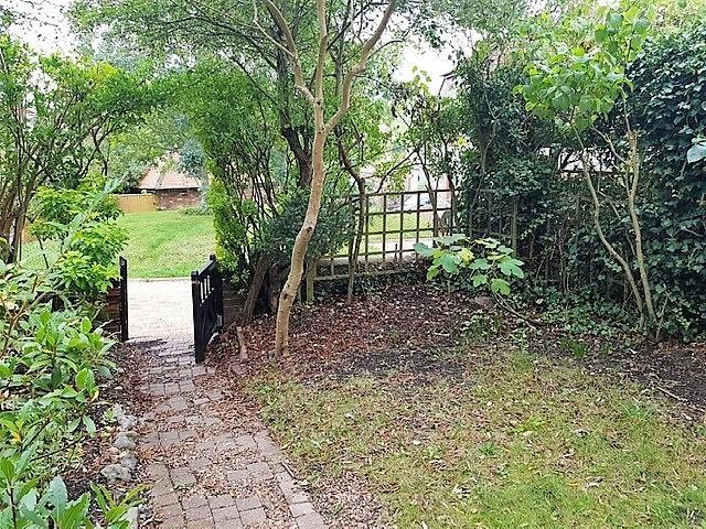 Garden.jpg