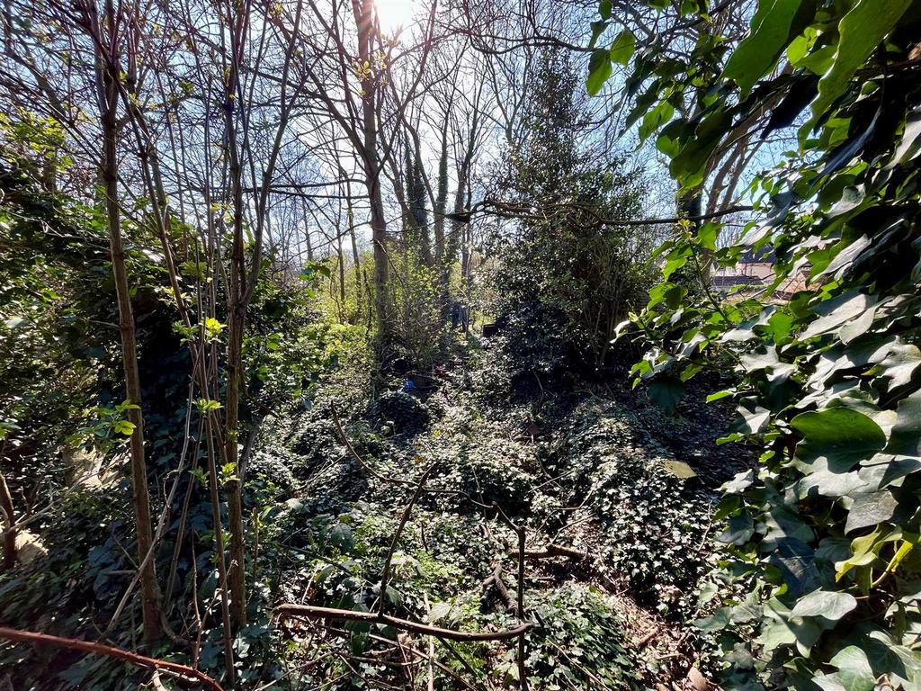 Garden Image Three.jpg