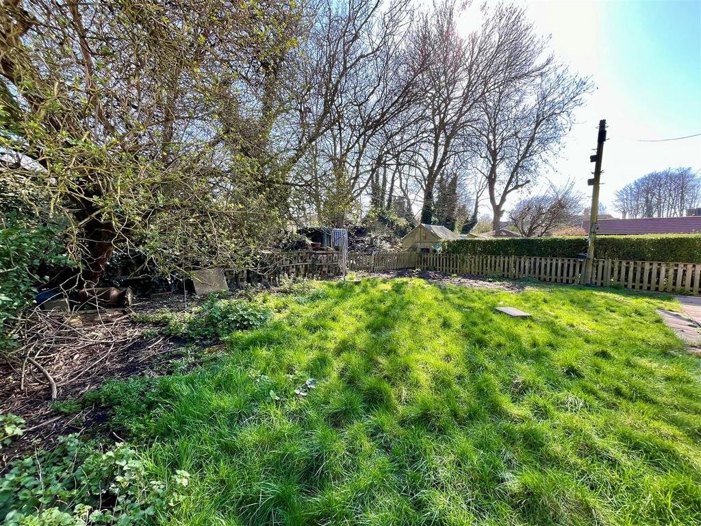 Garden Image Two.jpg