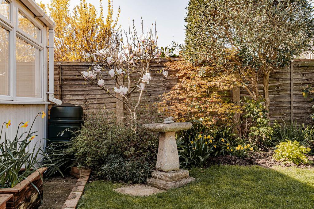 Rear Garden (1)