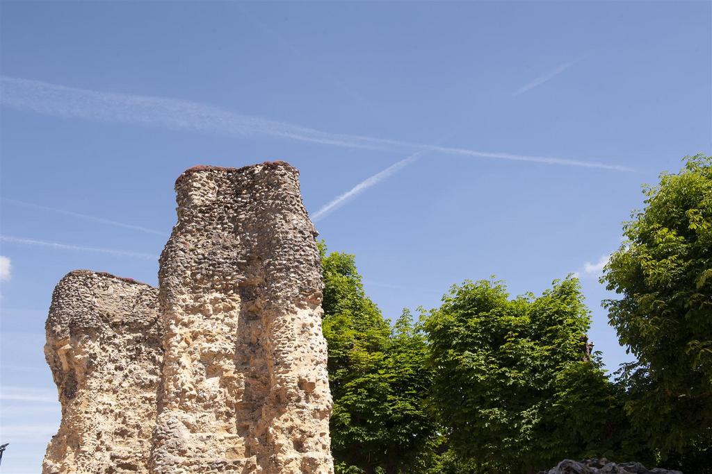 Reading Abbey (3).jpg