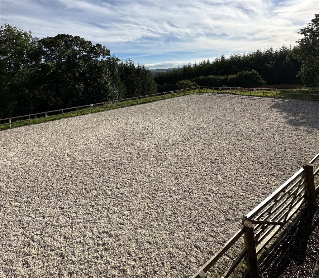 Arena