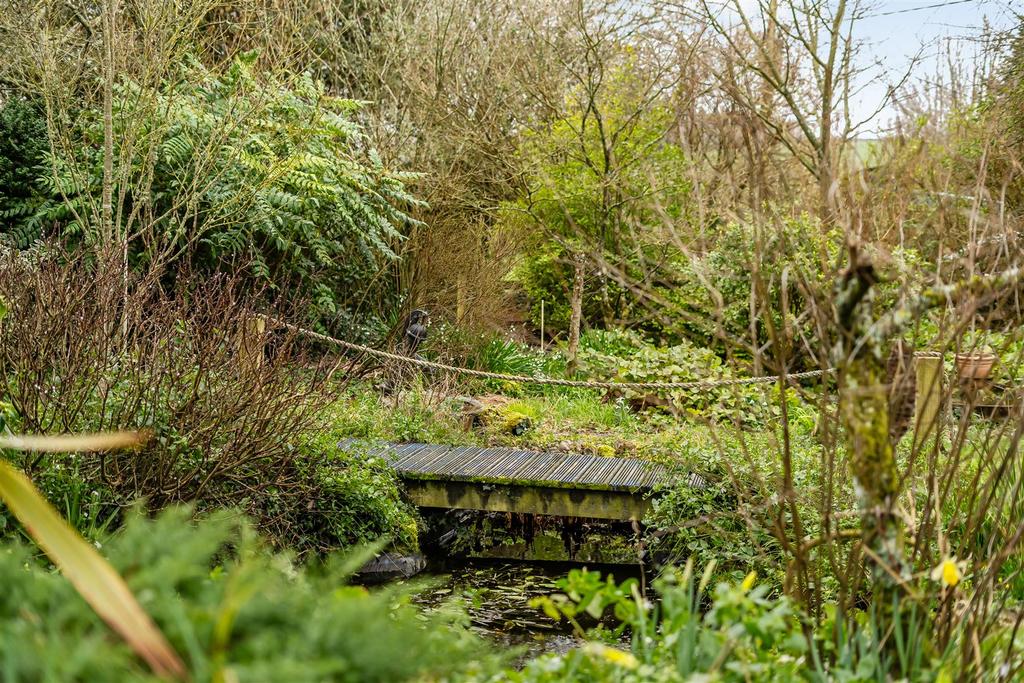 Bridge over the pond