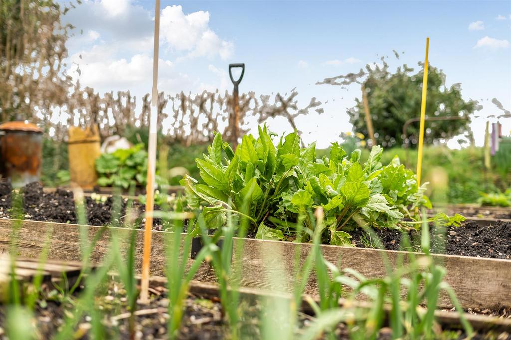Veg Garden
