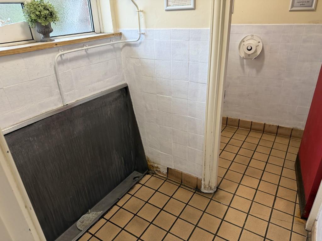 11 Medium T202601151524.jpg