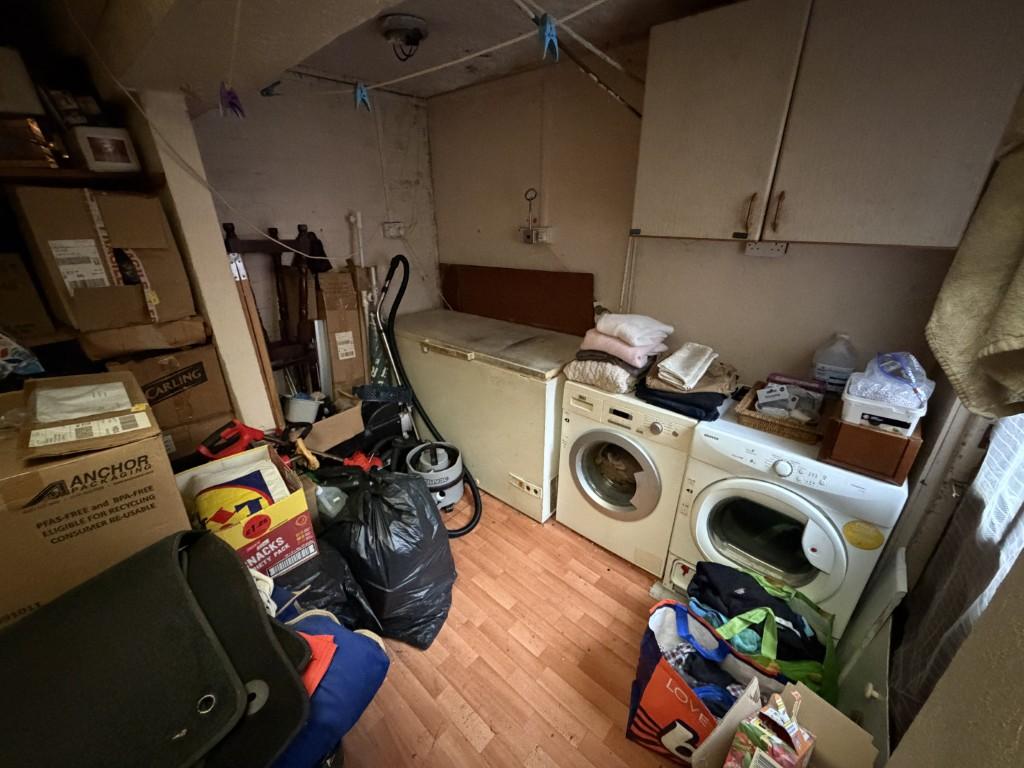 12 Medium T202601151524.jpg