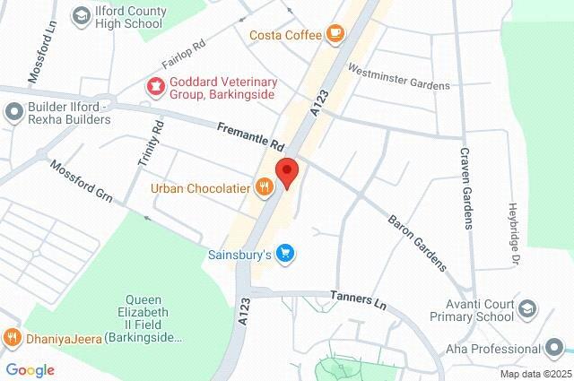 Google Maps Image