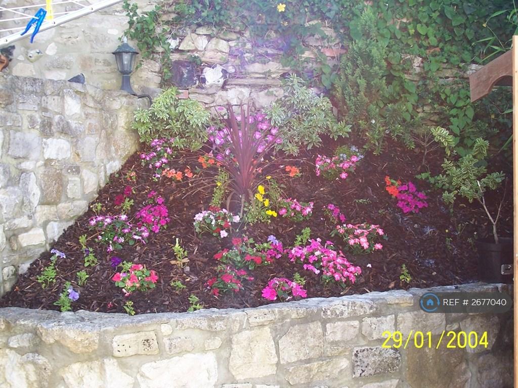 Private And Colorful Bedding Plants