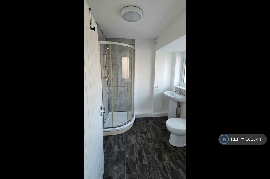 Downstairs Toilet/Shower