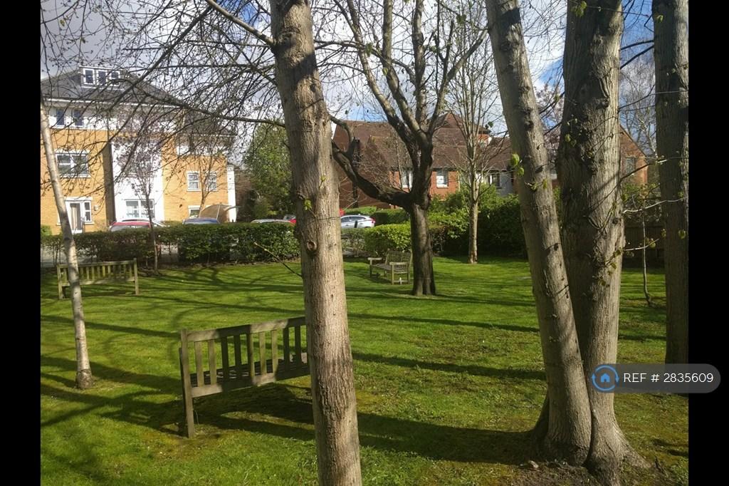 Shared Gardens
