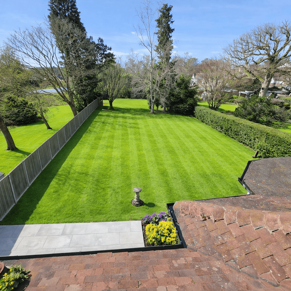 Garden from Top Window