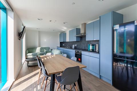1 bedroom private hall to rent, Bronze En Suite at Ty Nant, 180 High Street SA1