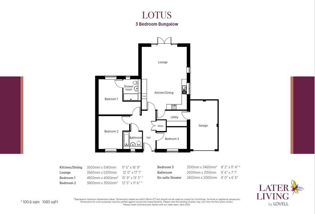 The lotus 2.jpg