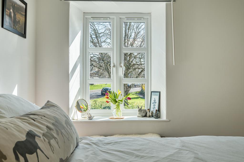 Window/View