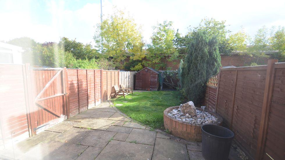 Garden.JPG