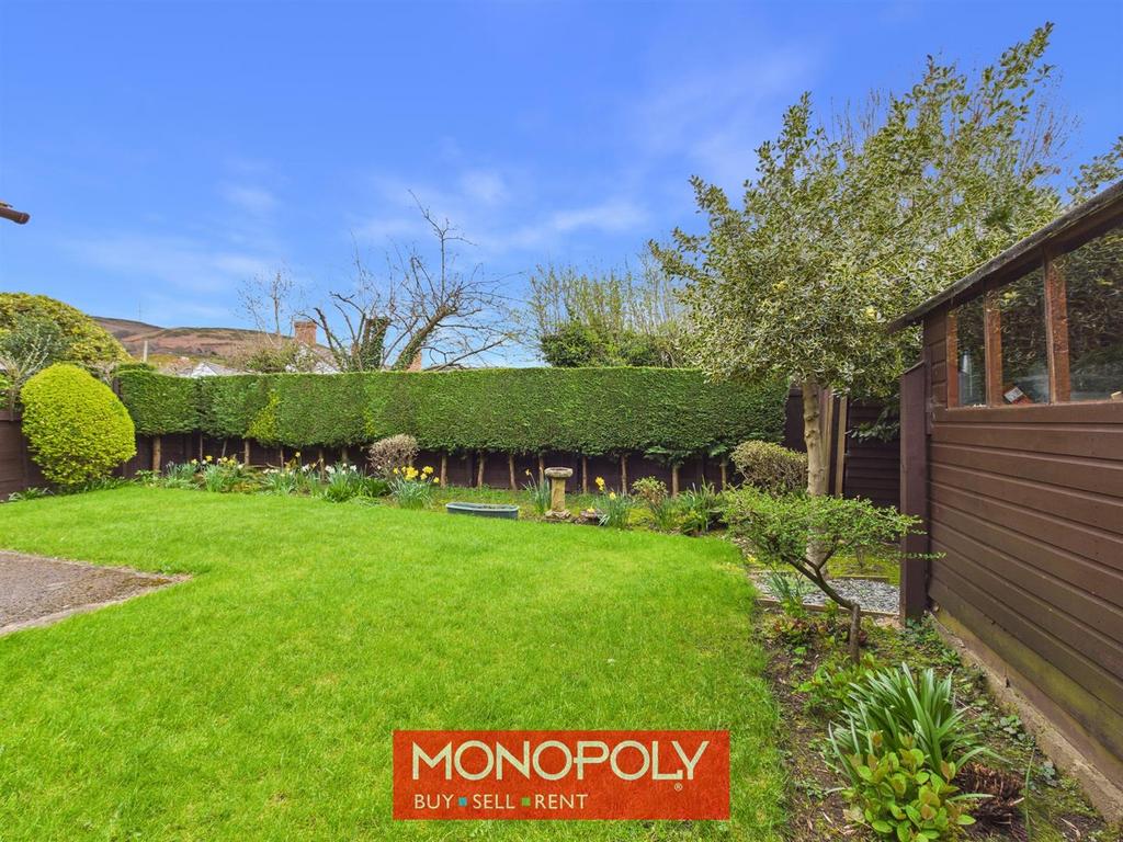 Back Garden