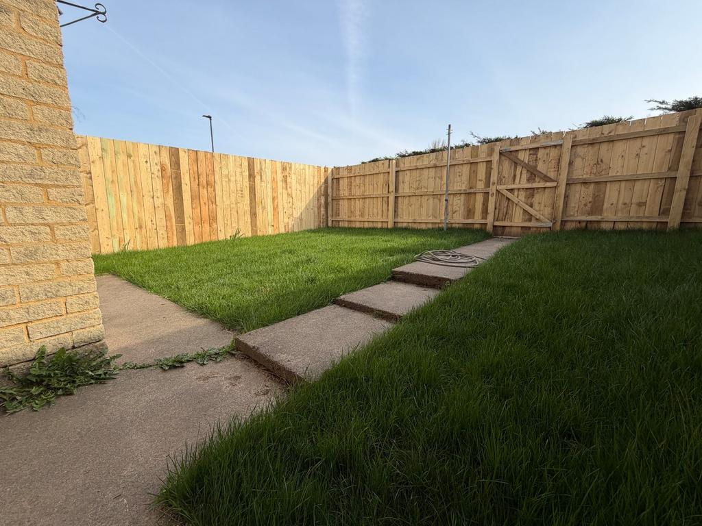 Back Garden