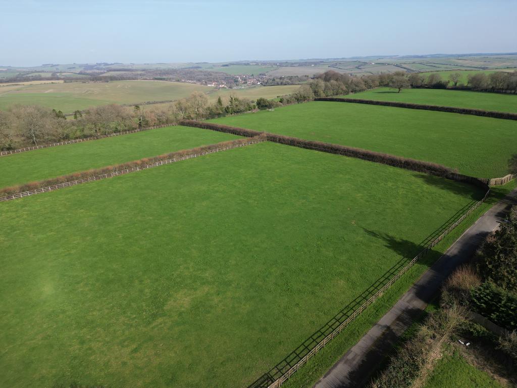 Stud paddocks