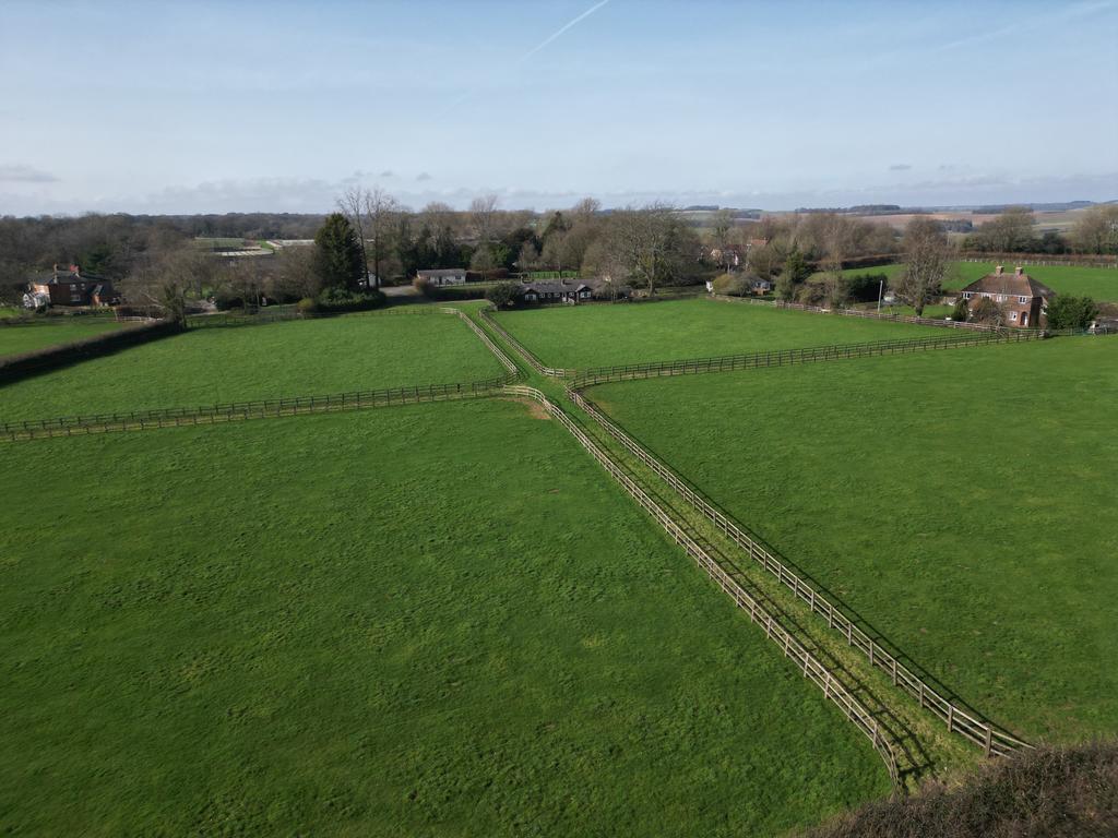 Stud paddocks