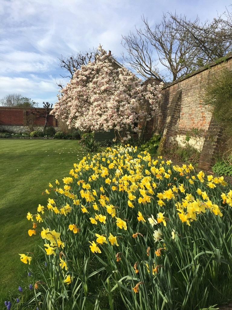 Spring Garden Image