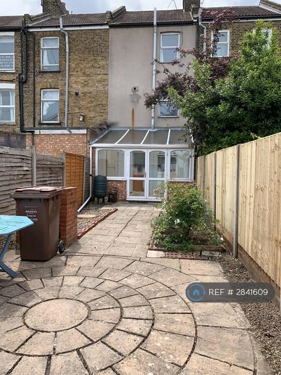 Back Garden
