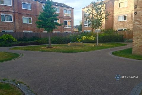 undefined, Patrick Connolly Gardens, London, E3