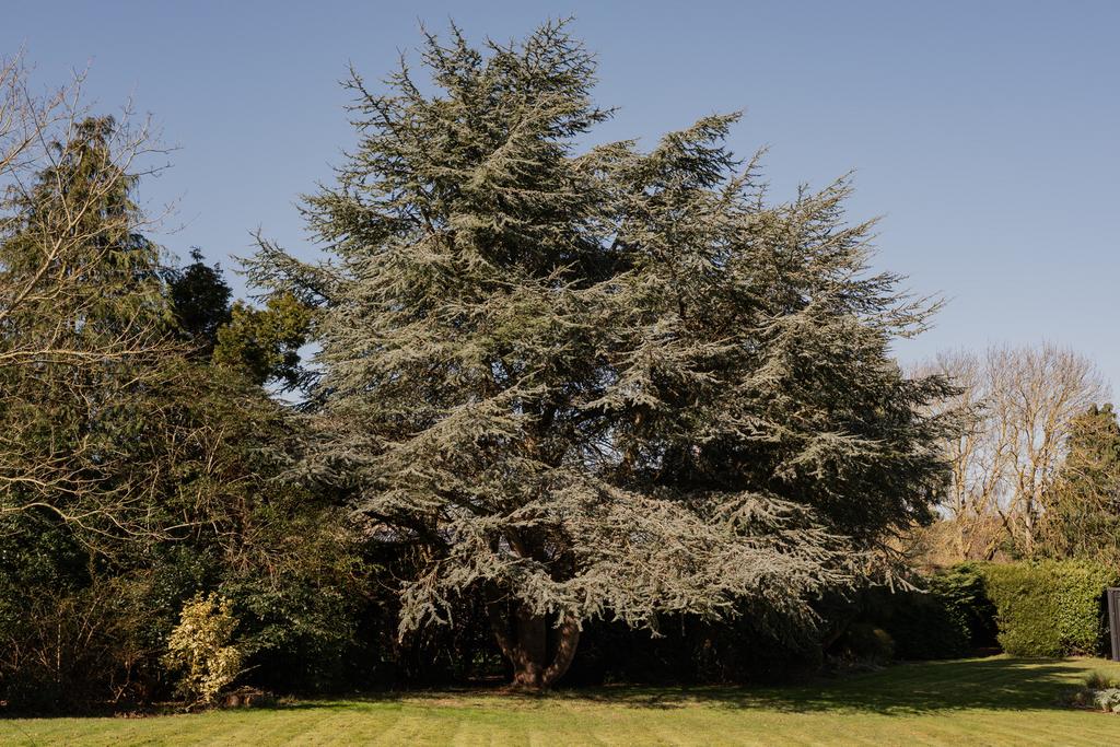 332479 - Caluna, 4 North Warren, Aldeburgh-46.jpg