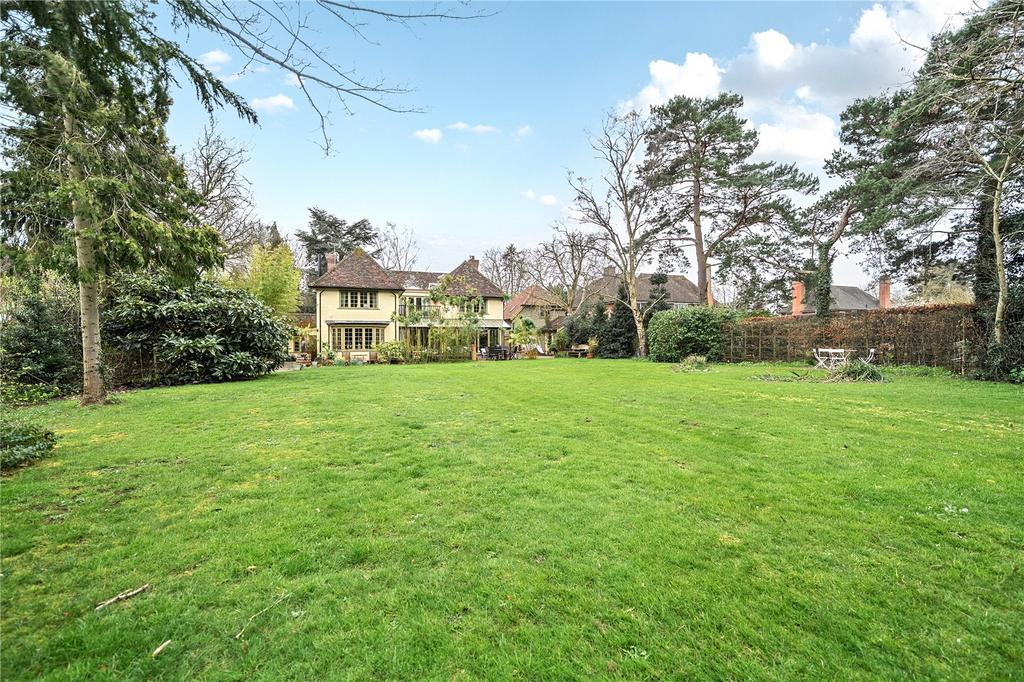 Rear Gardens