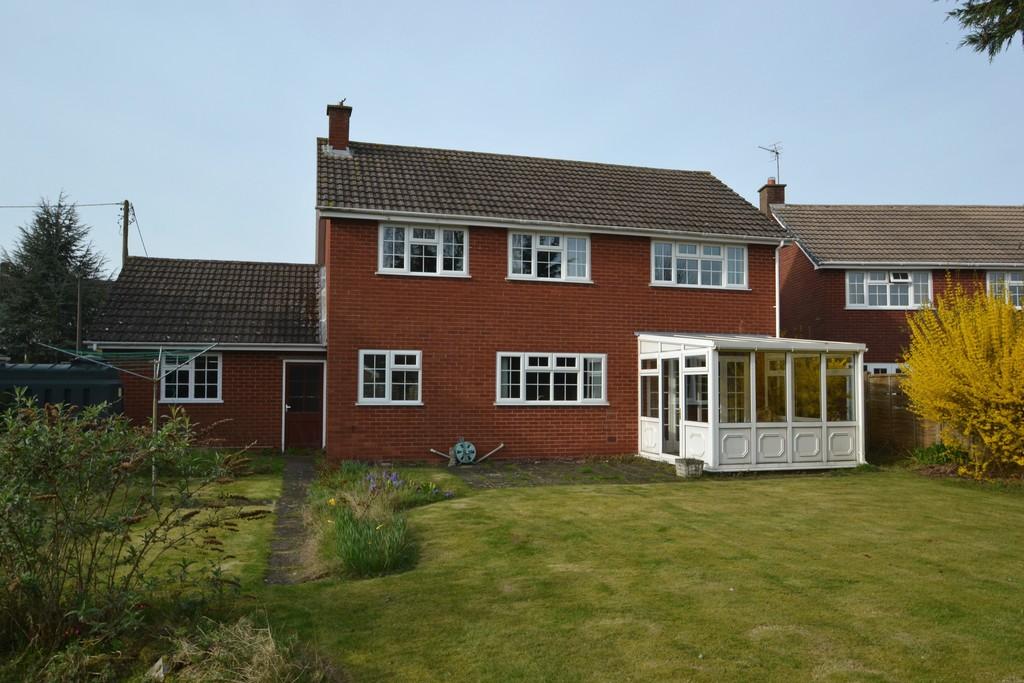 Rear Aspect